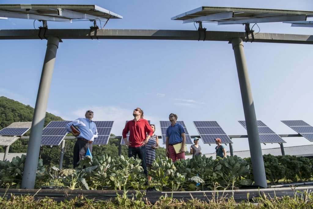 hombres analizando sistema de paneles solares fotovoltaicos en un campo