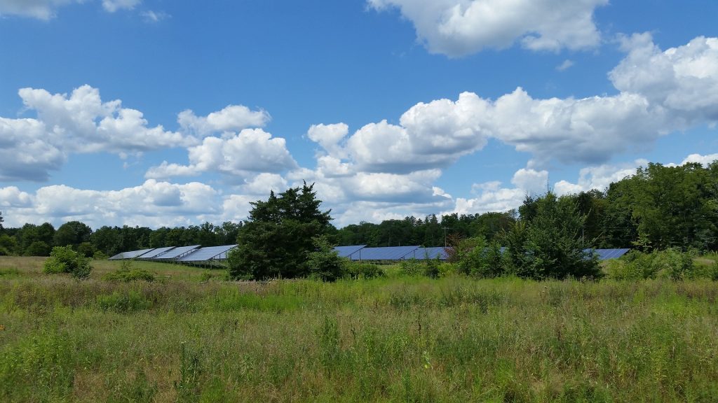 ¿Qué es una granja solar y cuáles son sus características?