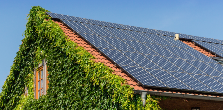 tejado de casa con módulos solares fotovoltaicos y fachada de plantas