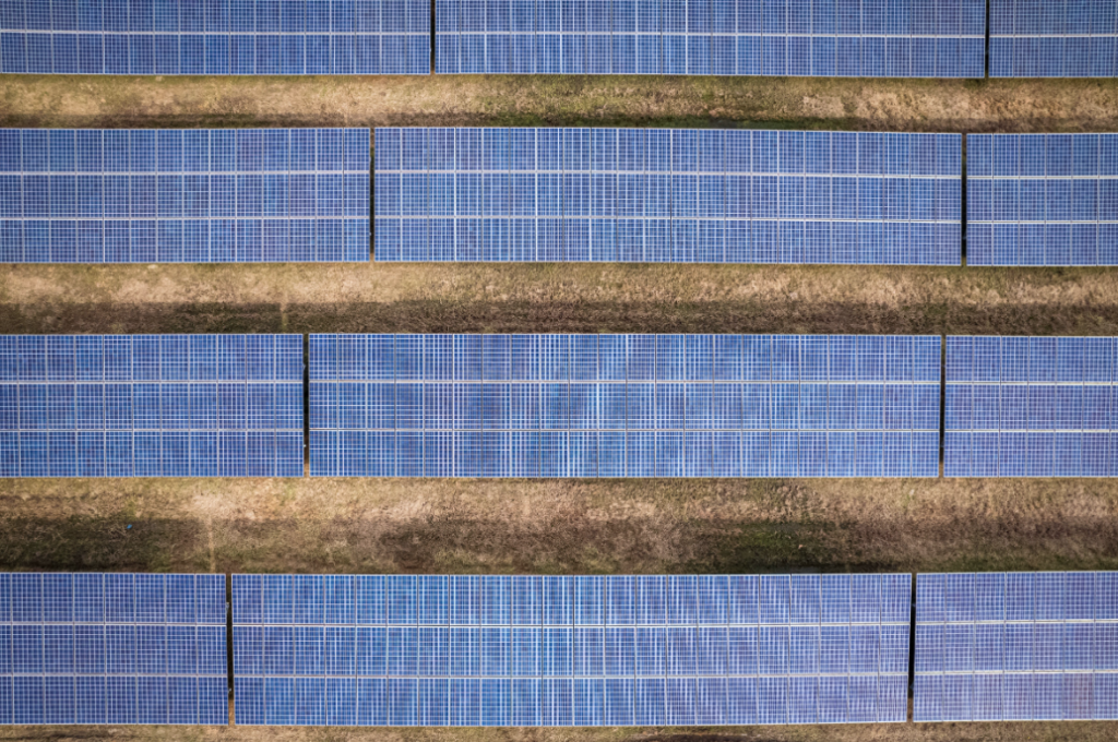 paneles solares ganaderos Aguascalientes