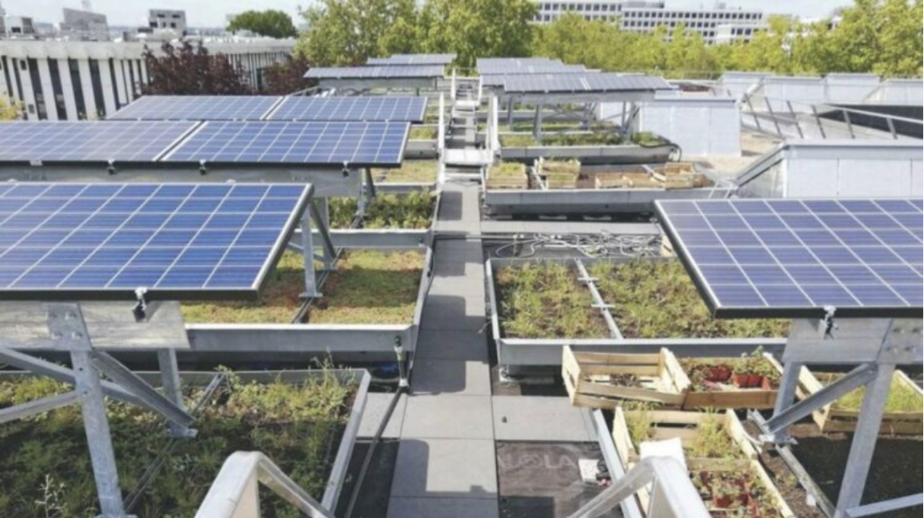 roof garden paneles solares