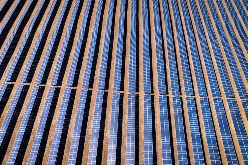 Imagen de un parque solar generando energía mediante paneles solares