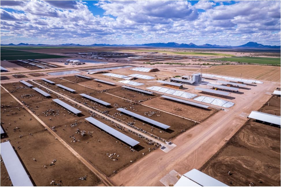 Terminal JFK contará con paneles solares