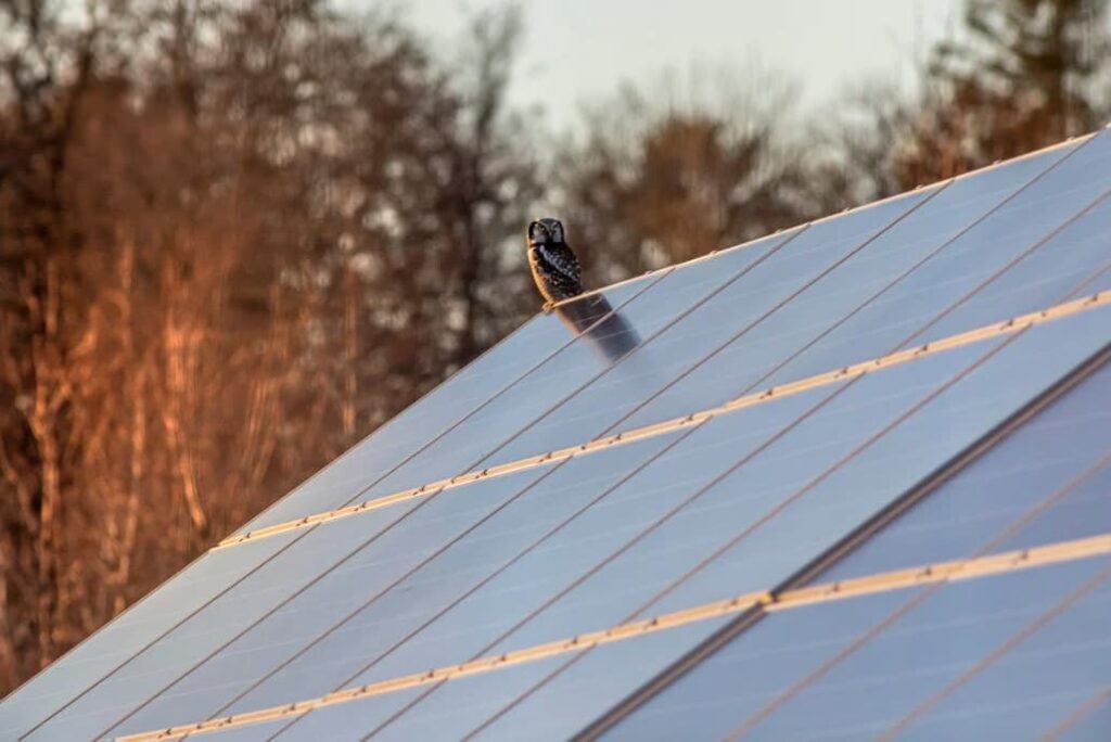 Energía solar fotovoltaica en casa