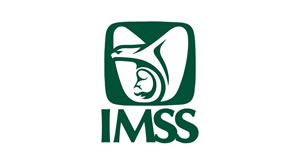 ene24-imss_ok_2