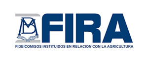 fira2_ok