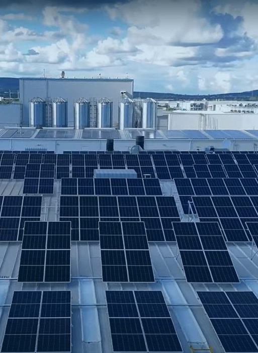 paneles solares industrial