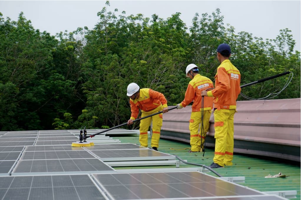 cuidar paneles solares