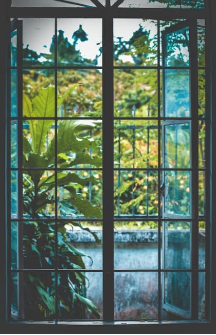 paneles solares completamente transparentes