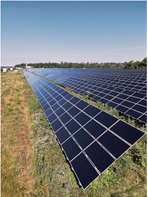Ovejas y paneles solares